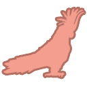 Parrot safety: Avoid