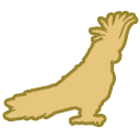 Parrot safety: Treat